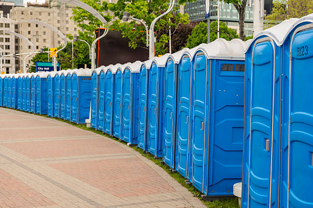 Types of Portable Toilets We Offer in Carnesville, GA